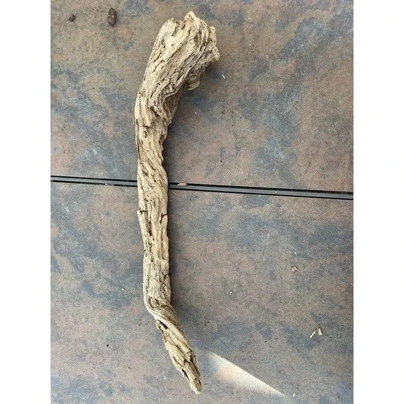 Natural Driftwood for Plants Terrarium Taxidermy Art Projects - Picture 1 of 4